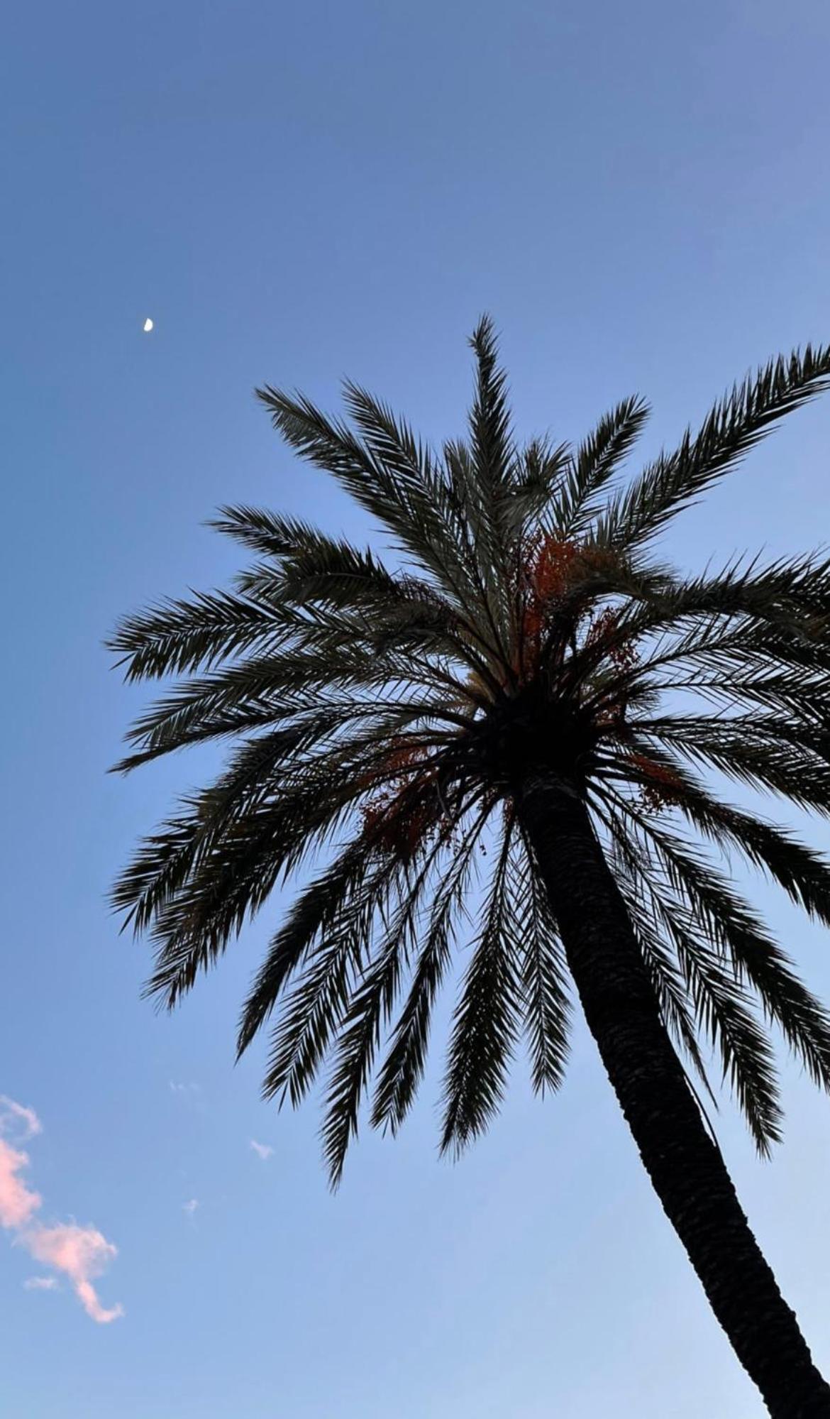 مبيت وإفطار بورديغيرا Acqua Di Mare المظهر الخارجي الصورة